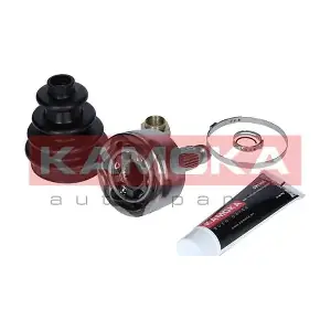 6099 KAMOKA
