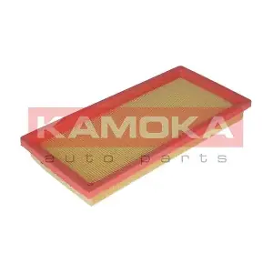 KAMOKA F217501