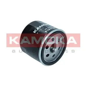 F121101 KAMOKA