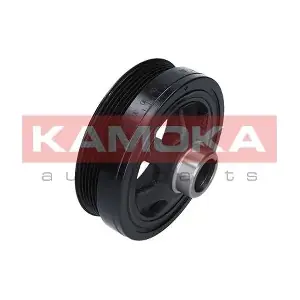 RW029 KAMOKA