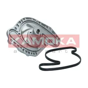 T0321 KAMOKA