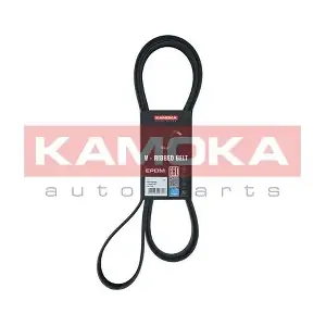 7016239 KAMOKA