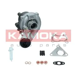 54359710002 BorgWarner (3K)