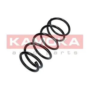 2120305 KAMOKA