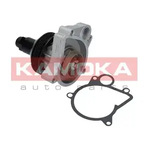 T0062 KAMOKA