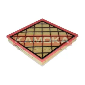 F220601 KAMOKA