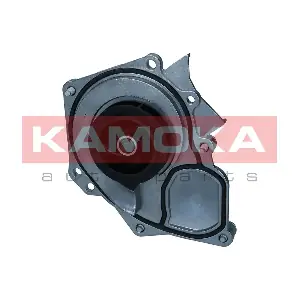 T0289 KAMOKA