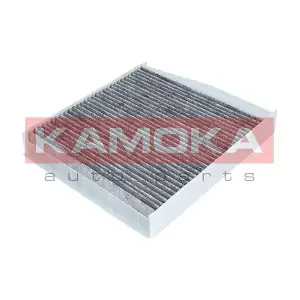 KAMOKA F503701