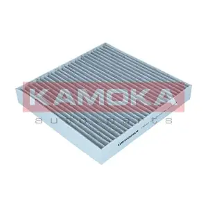 KAMOKA F506701