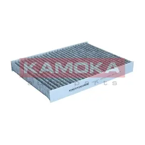 KAMOKA F521301