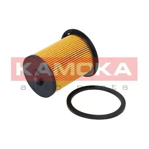 KAMOKA F307101