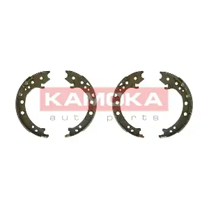JQ212076 KAMOKA