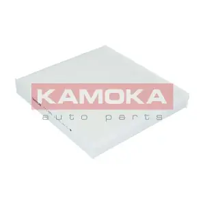 KAMOKA F411501
