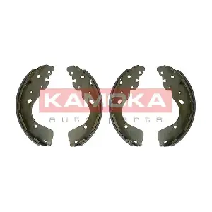 JQ202098 KAMOKA
