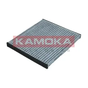 KAMOKA F514301