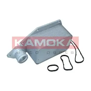 7730147 KAMOKA