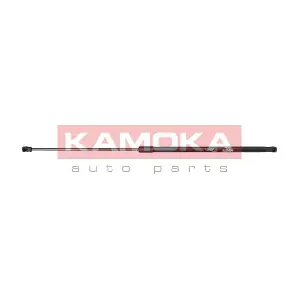 7091148 KAMOKA