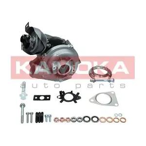 8600015 KAMOKA