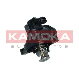 7710009 KAMOKA