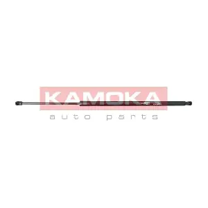 7092173 KAMOKA
