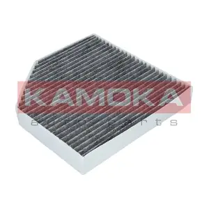 KAMOKA F509301