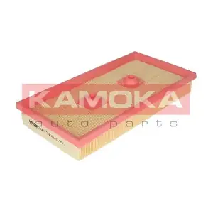 F230801 KAMOKA