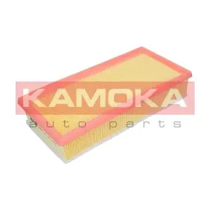 F223301 KAMOKA