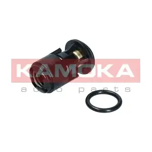 7710094 KAMOKA