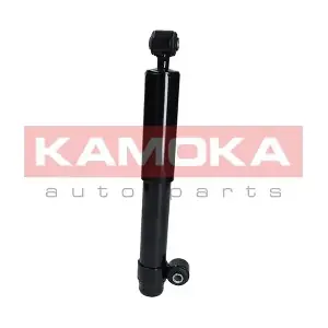 2000968 KAMOKA