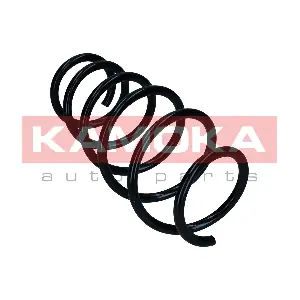 2110668 KAMOKA