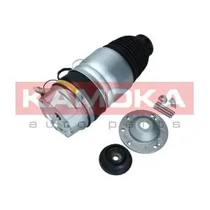 2079059 KAMOKA