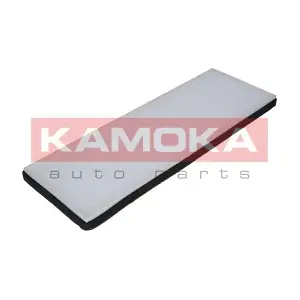 KAMOKA F400501