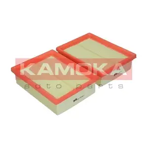 KAMOKA F206601