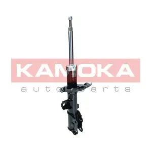 2000498 KAMOKA