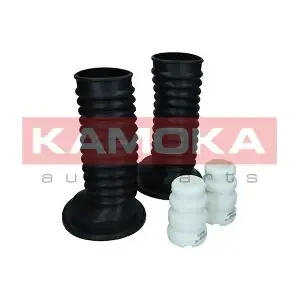 2019110 KAMOKA