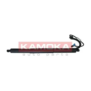 7094017 KAMOKA