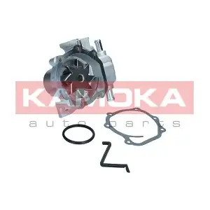 KAMOKA T0313