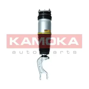 2070007 KAMOKA