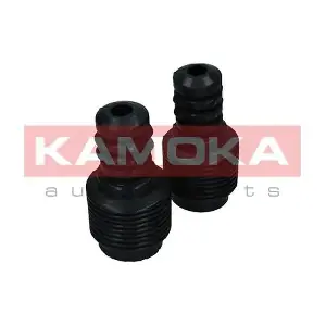 2019093 KAMOKA
