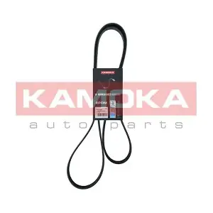 7016165 KAMOKA