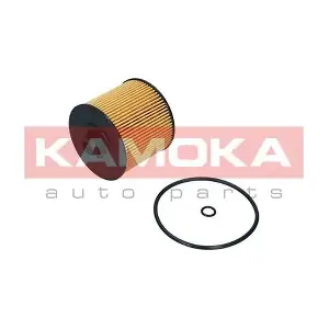 F121801 KAMOKA