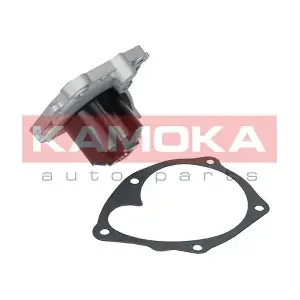 T0220 KAMOKA