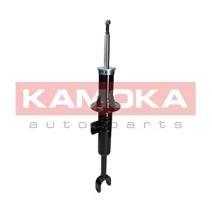 2000657 KAMOKA