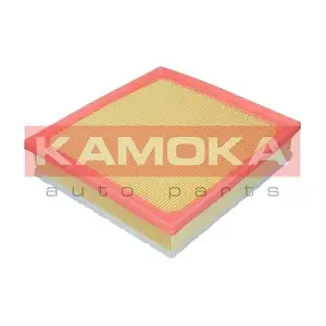 F257801 KAMOKA