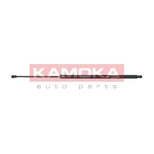 7092172 KAMOKA