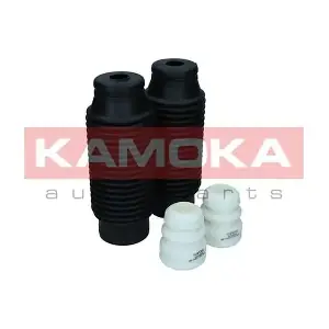 2019163 KAMOKA