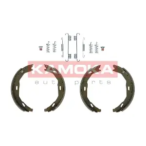 JQ212079 KAMOKA