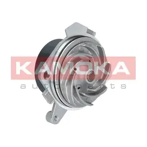 KAMOKA T0012