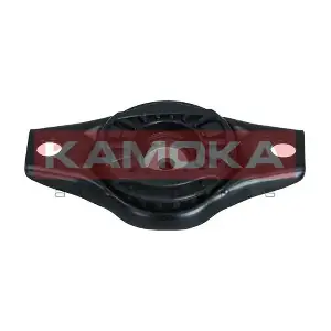 209236 KAMOKA