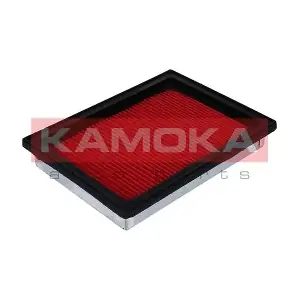 KAMOKA F204901